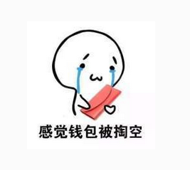 感覺(jué)錢(qián)包被掏空.png