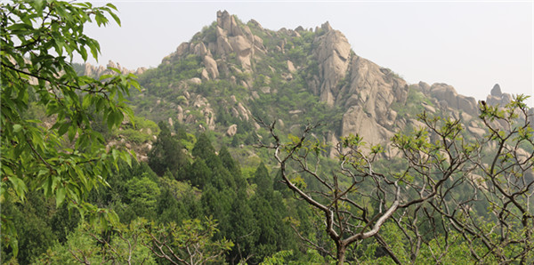 春游圖片2.jpg